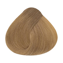 Laden Sie das Bild in den Galerie-Viewer, Color Wear Gloss Toner