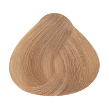 Laden Sie das Bild in den Galerie-Viewer, Color Wear Gloss Toner