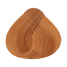 Laden Sie das Bild in den Galerie-Viewer, Color Wear Gloss Toner