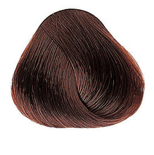 Laden Sie das Bild in den Galerie-Viewer, Evolution of the Color Rottöne