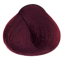 Laden Sie das Bild in den Galerie-Viewer, Evolution of the Color Rottöne