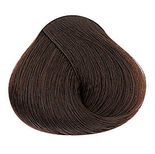 Laden Sie das Bild in den Galerie-Viewer, Evolution of the Color Kalte Brauntöne