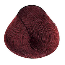 Laden Sie das Bild in den Galerie-Viewer, Evolution of the Color Rottöne