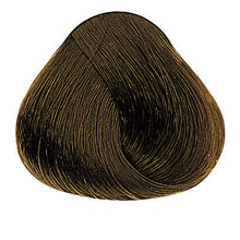 Laden Sie das Bild in den Galerie-Viewer, Evolution of the Color Kalte Brauntöne