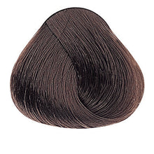 Laden Sie das Bild in den Galerie-Viewer, Evolution of the Color Kalte Brauntöne