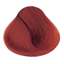 Laden Sie das Bild in den Galerie-Viewer, Evolution of the Color Rottöne