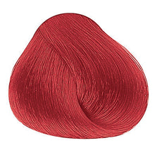 Laden Sie das Bild in den Galerie-Viewer, Evolution of the Color Booster