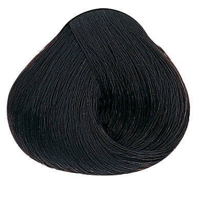 Evolution of the Color Warme Brauntöne