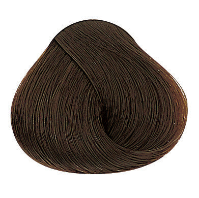 Evolution of the Color Warme Brauntöne