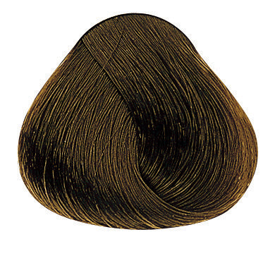 Evolution of the Color Kalte Brauntöne