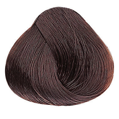 Evolution of the Color Warme Brauntöne