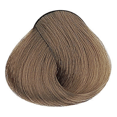 Evolution of the Color Naturfarben