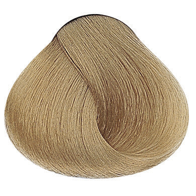 Evolution of the Color Naturfarben